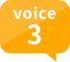 voice3