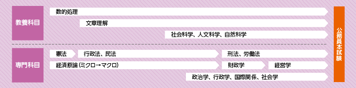 教養、専門科目の学習の流れを図にしています