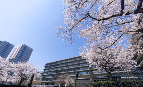 桜の花が満開の中、国家公務員が働く都心のビル群を映した風景